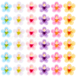 60Pcs 6 Colors Plastic Cabochons&nbsp;KY-SC0002-54A