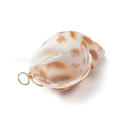 Natural Spiral Shell Pendants&nbsp;PALLOY-JF02949