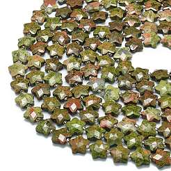 Natural Unakite Beads Strands&nbsp;G-P573-C02-01