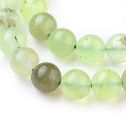 Natural Prehnite Beads Strands&nbsp;G-I250-01D