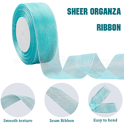 1 Rolls Sheer Organza Ribbon&nbsp;SRIB-CY0001-22B-06