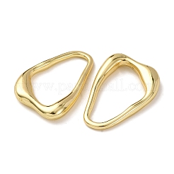 Alloy Pendants&nbsp;FIND-Z095-06G