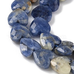 Natural Sodalite Beads Strands&nbsp;G-D316-B08
