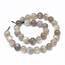 Natural Grey Moonstone Beads Strands&nbsp;G-F632-29-02