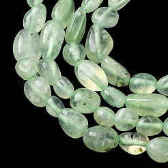 Natural Prehnite Beads Strands&nbsp;G-G018-64