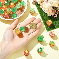 40Pcs 8 Styles Transparent Resin Cactus Display Decorations&nbsp;DJEW-CJ0001-31