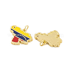 Rack Plating Brass Enamel Pendants&nbsp;KK-P269-07G