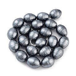 Electroplated Shell Pearl Beads Strands&nbsp;BSHE-H110-01-02