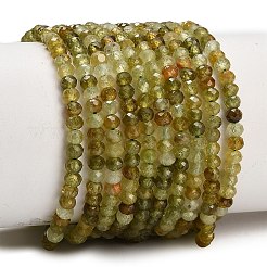 Natural Green Garnet Beads Strands&nbsp;GG-CBAA9B4-C03-02