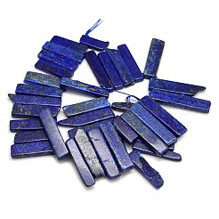 Natural Gemstone Lapis Lazuli Beads Strands&nbsp;G-L156-05