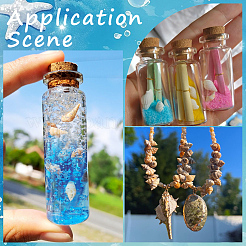 400Pcs 5 Styles Natural Conch & Shell Decorations&nbsp;SSHEL-SC0001-61