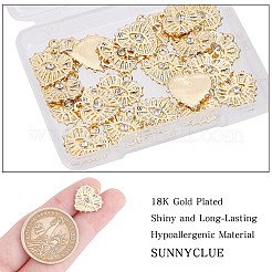 Alloy Charms&nbsp;FIND-SC0002-53