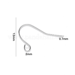 Tarnish Resistant 304 Stainless Steel Earring Hooks&nbsp;STAS-S111-009