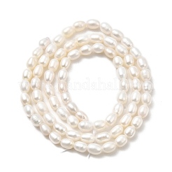 Natural Cultured Freshwater Pearl Beads Strands&nbsp;PEAR-I007-01O-01A