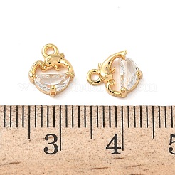 Brass with Clear Cubic Zirconia Charms&nbsp;LS-KK-B160-22G
