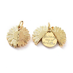 Brass Micro Pave Clear Cubic Zirconia Openable Pendants&nbsp;KK-D004-14G