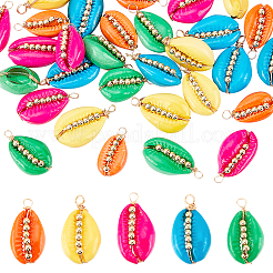 30Pcs 5 Colors Spray Painted Natural Cowrie Shell Pendants&nbsp;SSHEL-GA0001-15