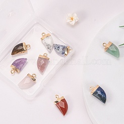 10Pcs 10 Style Natural Gemstone Pendants&nbsp;G-LS0002-14