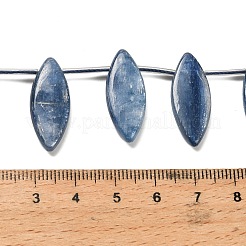Natural Kyanite Beads Strands&nbsp;G-H335-H01-10x25mm
