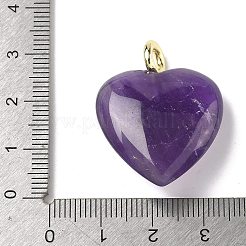 Natural Amethyst Pendants&nbsp;G-C274-04F