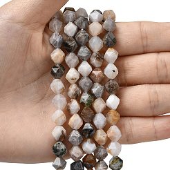 Natural Bamboo Leaf Agate Beads Strands&nbsp;G-Z119-A27-02