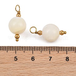 Natural Freshwater Shell Pendants&nbsp;SH-CBA5EEC-10G