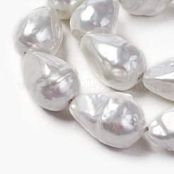 Shell Pearl Beads Strands&nbsp;BSHE-O018-06
