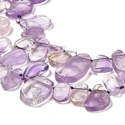 Natural Amethyst Beads Strands&nbsp;G-M408-E01