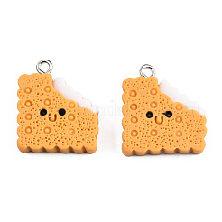 Opaque Resin Pendants&nbsp;CRES-N022-189