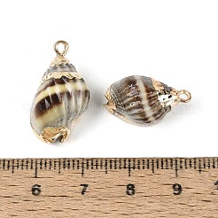 Electroplate Natural Spiral Shell Pendants&nbsp;SSHEL-N042-03