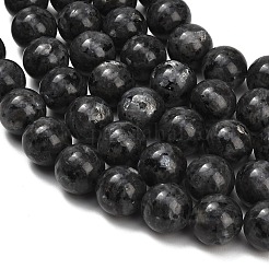 Natural Larvikite Beads Strands&nbsp;GSR18mmC128