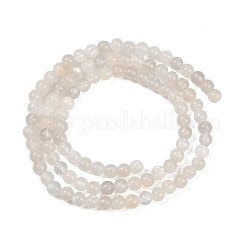 Natural White Moonstone Bead Strands&nbsp;G-G970-37-4mm