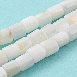 Natural Freshwater Shell Beads Strands&nbsp;SHEL-F008-04A