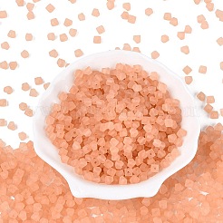 FGB Frosted Transparent Glass Seed Beads&nbsp;SEED-N013-03A-04