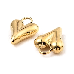 304 Stainless Steel Charms&nbsp;STAS-A089-26G