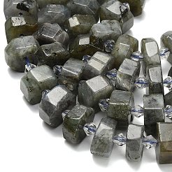 Natural Labradorite Beads Strands&nbsp;G-L642-H05-01