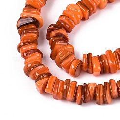 Natural Freshwater Shell Beads Strands&nbsp;SHEL-N037-01B