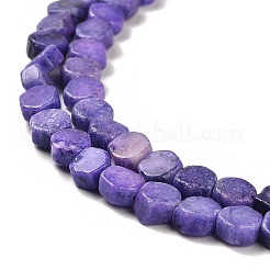 Natural Dolomite Beads Strands&nbsp;G-F765-G04-01