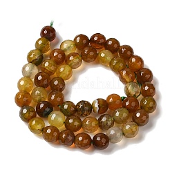 Dyed & Heated Natural Dragon Veins Agate Beads Strands&nbsp;G-P539-A01-26