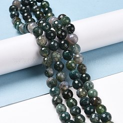 Natural Moss Agate Beads Strands&nbsp;G-E571-21B