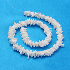 Natural Sea Shell Chips Beads Strands&nbsp;BSHE-Q024-02