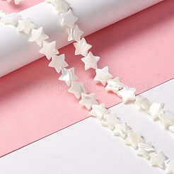 Natural Trochid Shell/Trochus Shell Beads&nbsp;SSHEL-O001-25D-01