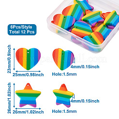 12Pcs 2 Style Plastic Stripe Pendants&nbsp;KY-YS0001-03