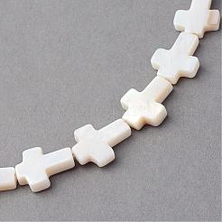 Natural Sea Shell Beads Strands&nbsp;SSHEL-Q296-34