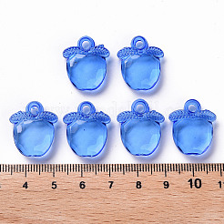Transparent Acrylic Pendants&nbsp;TACR-S154-28B-86