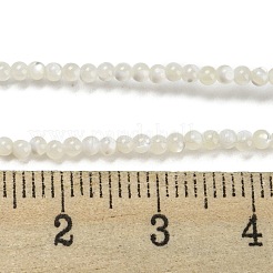 Natural Trochid Shell/Trochus Shell Beads Strands&nbsp;BSHE-Z005-01