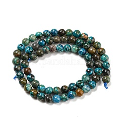 Natural Chrysocolla Beads Strands&nbsp;G-P503-10MM-05