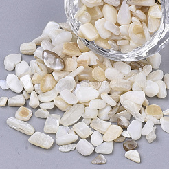 Freshwater Shell Beads&nbsp;SHEL-S266-11