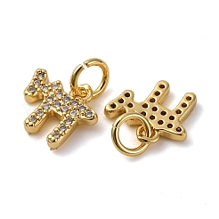 Brass Micro Pave Cubic Zirconia Chai Charms&nbsp;KK-P308-62G
