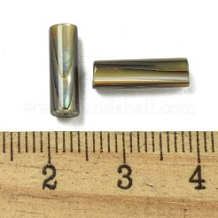 Natural Paua Shell Beads&nbsp;BSHE-G039-06